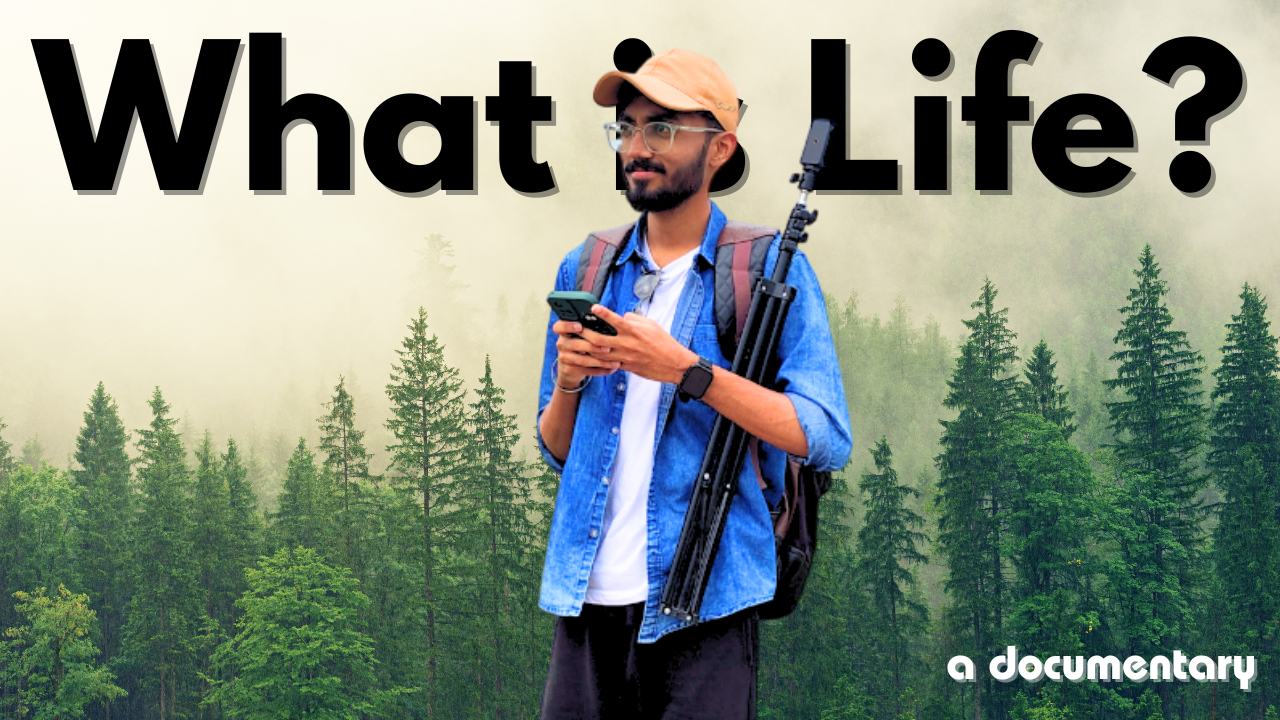 What is the purpose of Life?